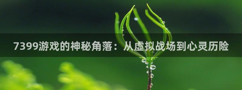 九游会j9登录官网：7399游戏的神秘角落：从虚拟战场到心灵